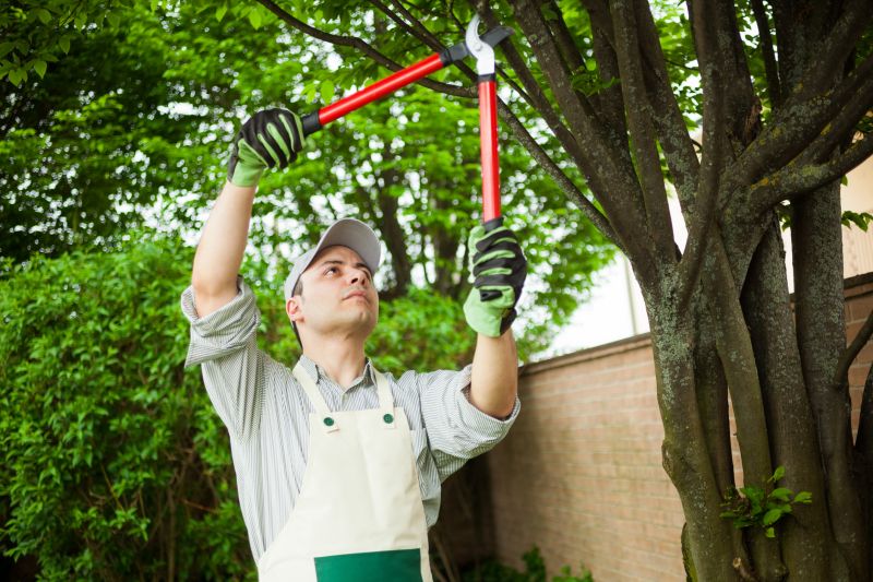 Tree Maintenance Specialists
